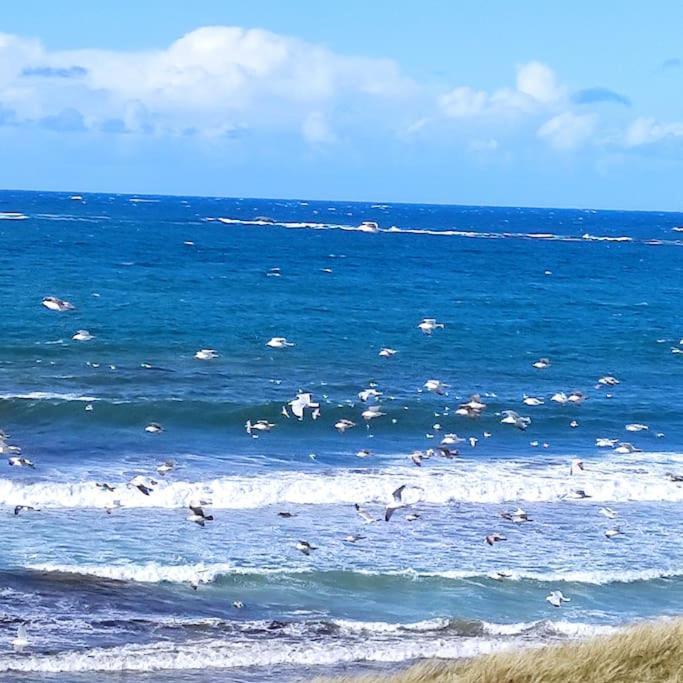 Gite Kerbourc'H Charmant Et Confortable, Mer Et Plages A 3Km, Ploudalmézeau מראה חיצוני תמונה